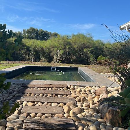 Tenikwa Wildlife Centre & Spa Plettenberg Bay Eksteriør bilde
