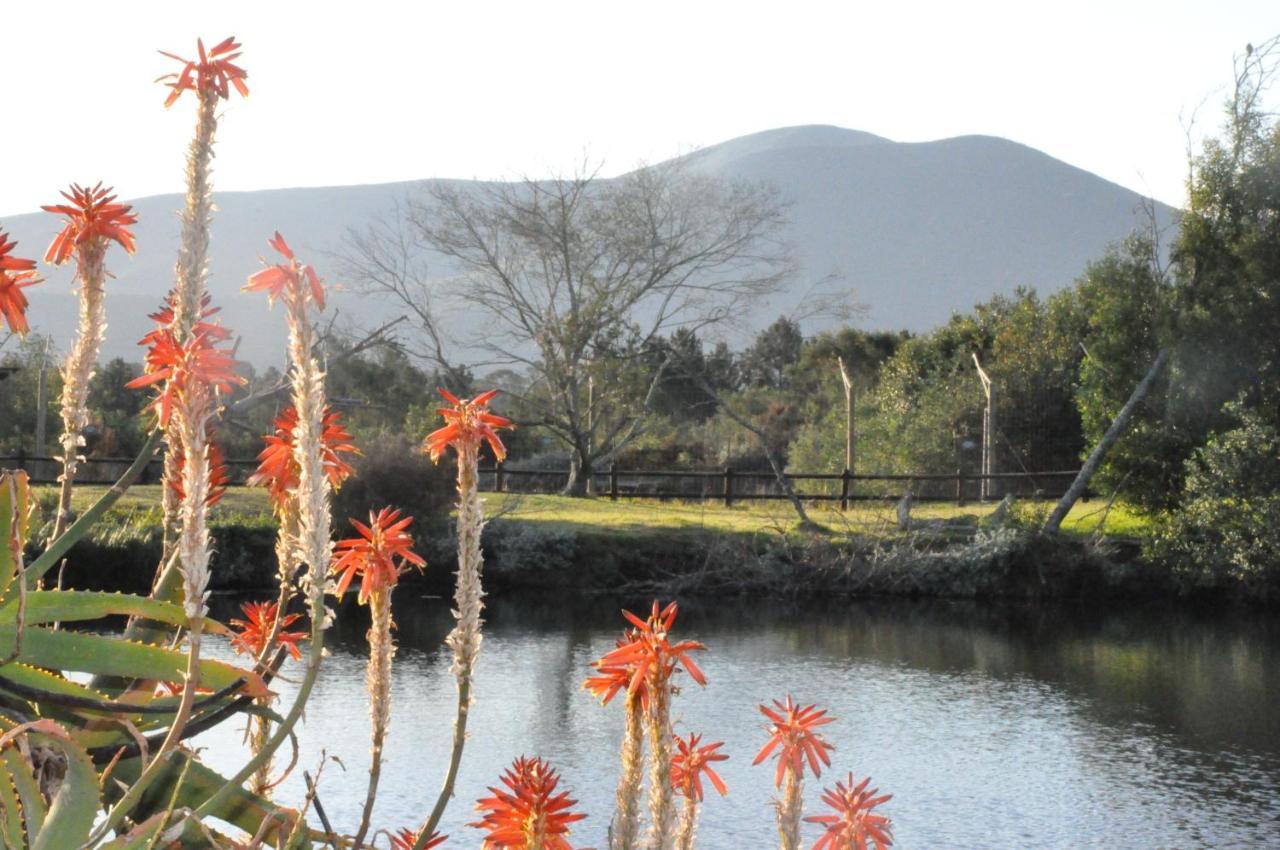 Tenikwa Wildlife Centre & Spa Plettenberg Bay Eksteriør bilde