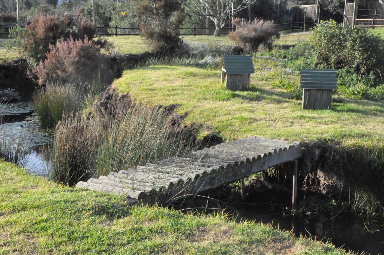 Tenikwa Wildlife Centre & Spa Plettenberg Bay Eksteriør bilde