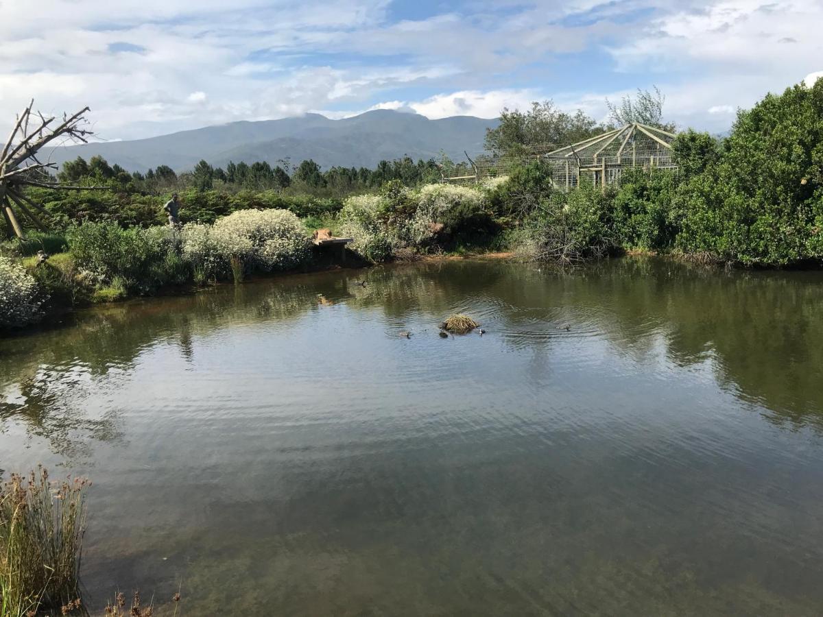 Tenikwa Wildlife Centre & Spa Plettenberg Bay Eksteriør bilde