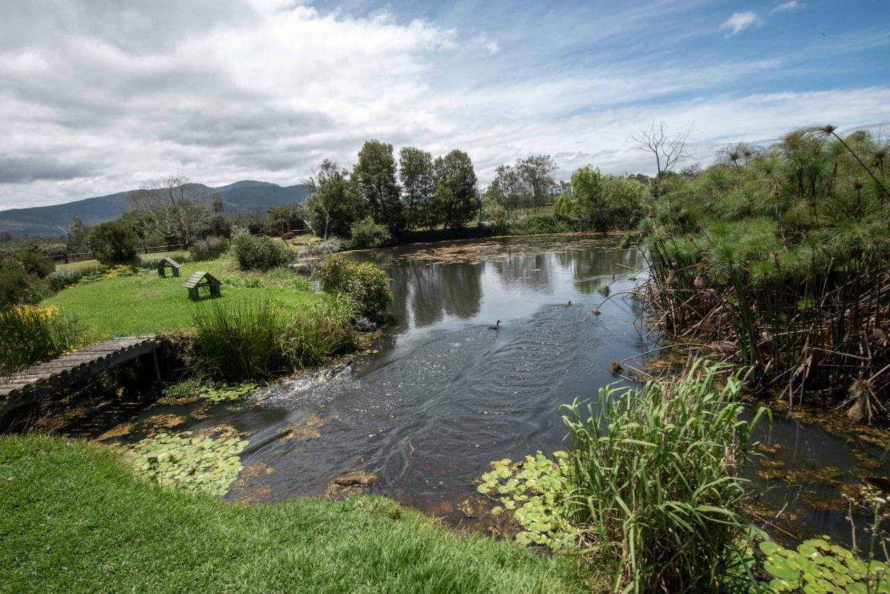 Tenikwa Wildlife Centre & Spa Plettenberg Bay Eksteriør bilde