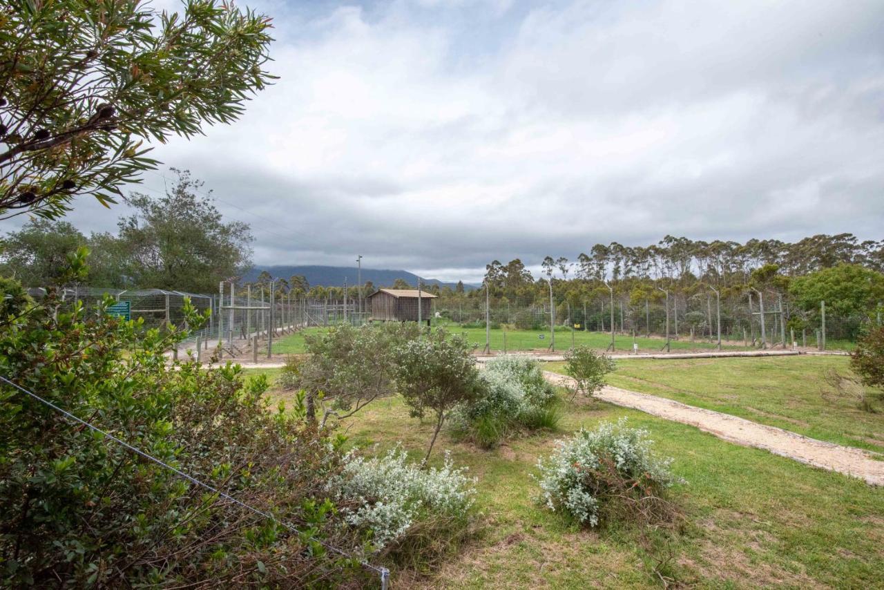 Tenikwa Wildlife Centre & Spa Plettenberg Bay Eksteriør bilde