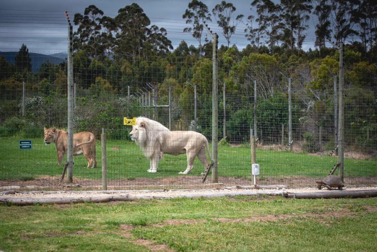 Tenikwa Wildlife Centre & Spa Plettenberg Bay Eksteriør bilde