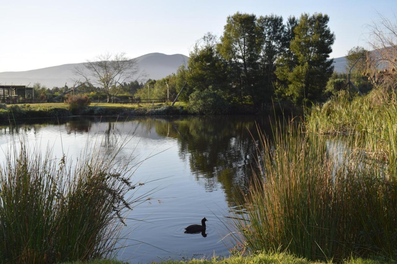 Tenikwa Wildlife Centre & Spa Plettenberg Bay Eksteriør bilde