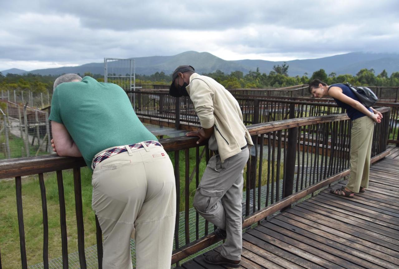 Tenikwa Wildlife Centre & Spa Plettenberg Bay Eksteriør bilde