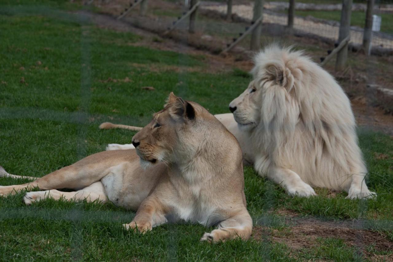 Tenikwa Wildlife Centre & Spa Plettenberg Bay Eksteriør bilde