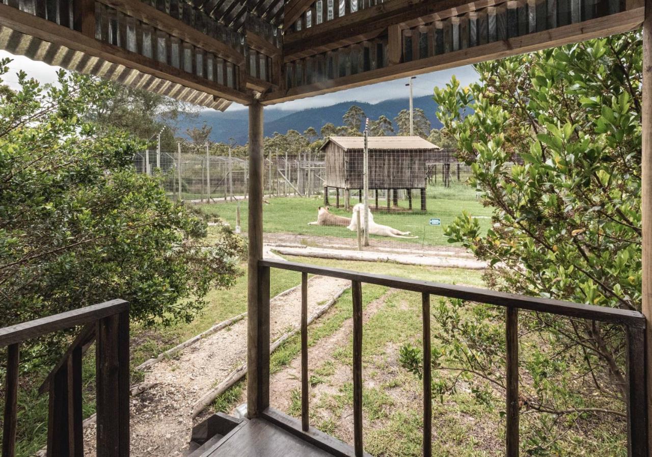 Tenikwa Wildlife Centre & Spa Plettenberg Bay Eksteriør bilde