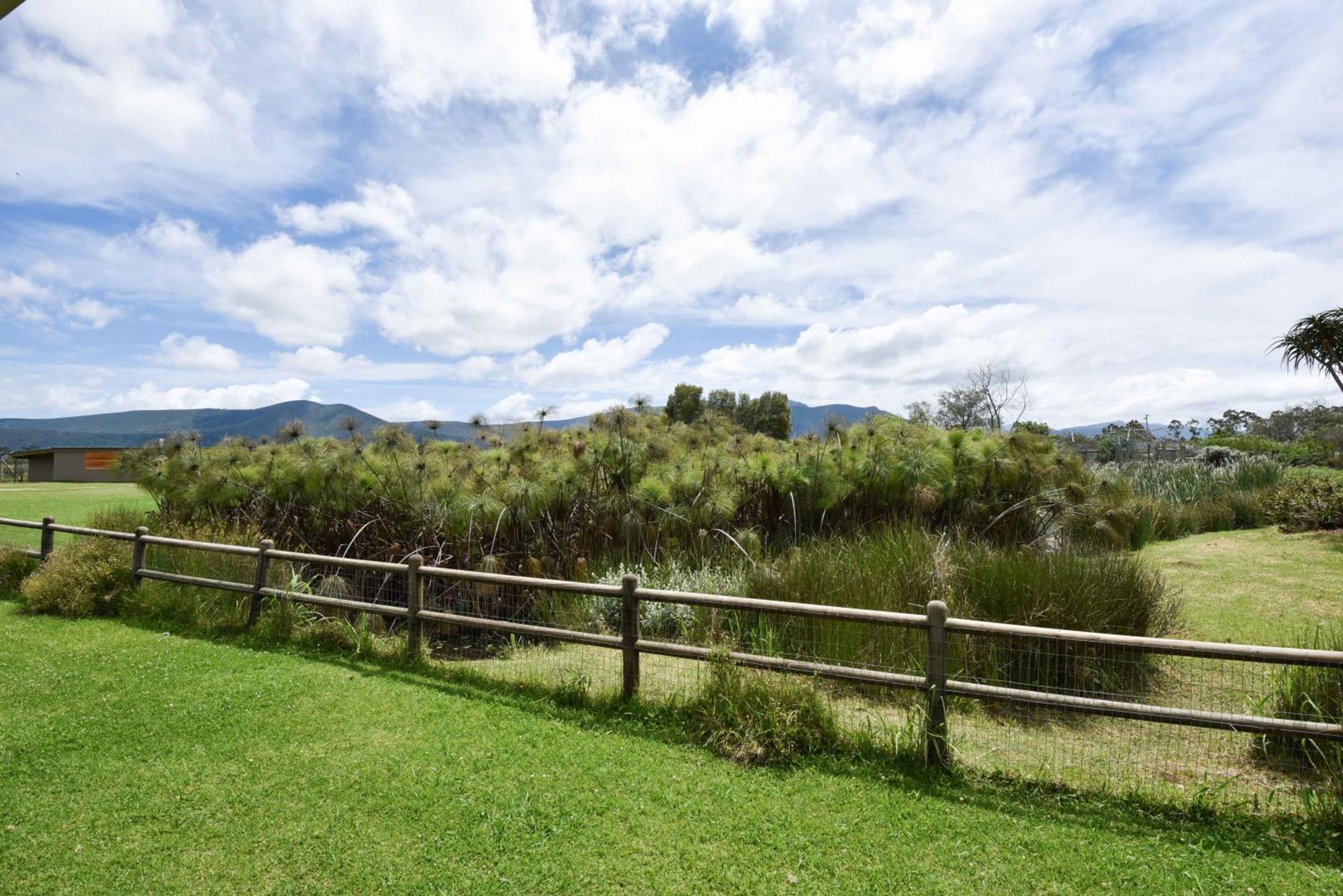 Tenikwa Wildlife Centre & Spa Plettenberg Bay Eksteriør bilde